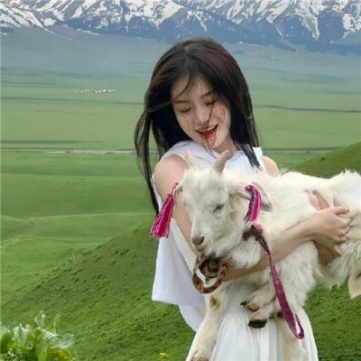 钢管舞娘
